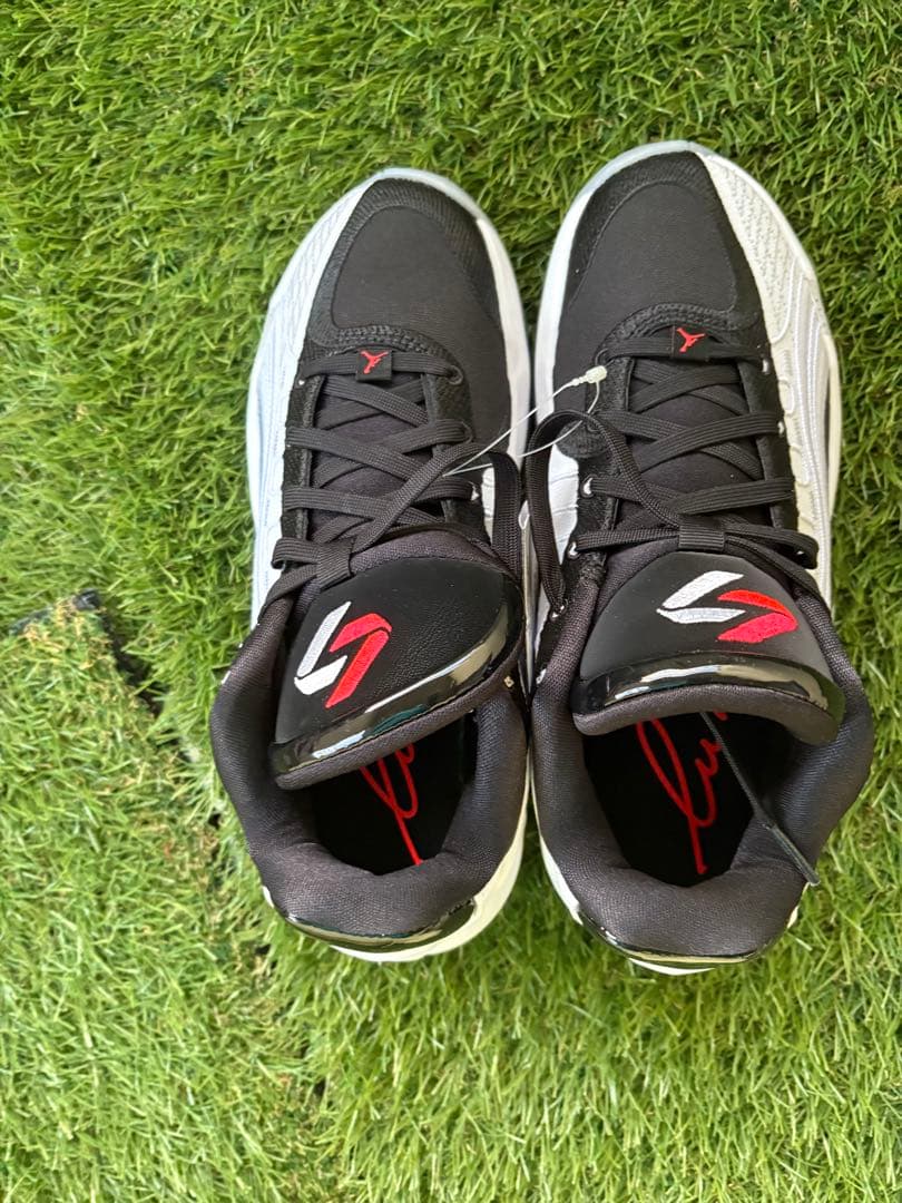 ジョーダン ルカ 4 PF \"White Cement