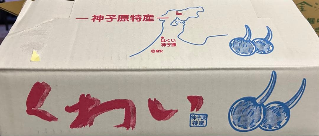 能登野菜　神子原特産　くわい2kg 2Ｌサイズ秀品