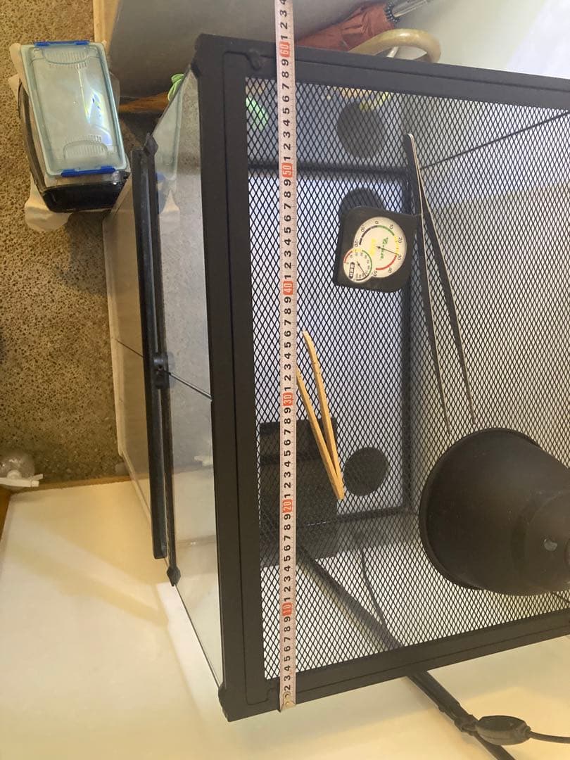 大幅値下げ！爬虫類　ケージセット　レインフォレストタンク