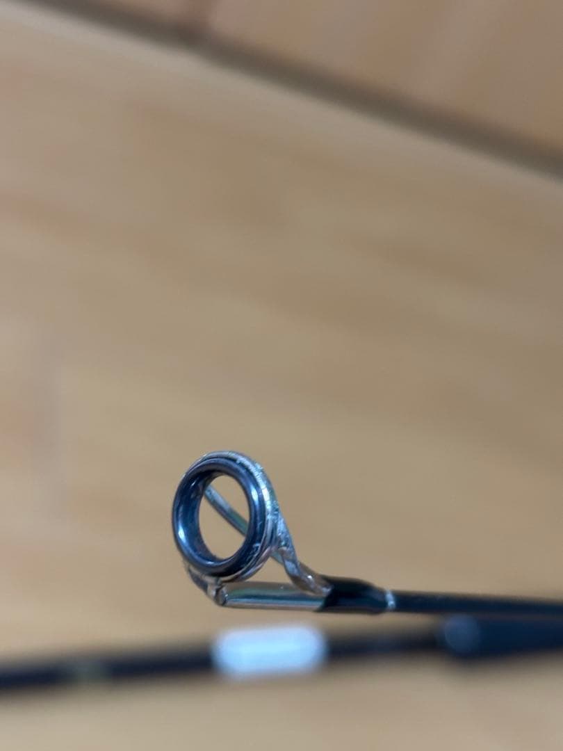 【LUXXE】SALTAGE チータRR 96XH