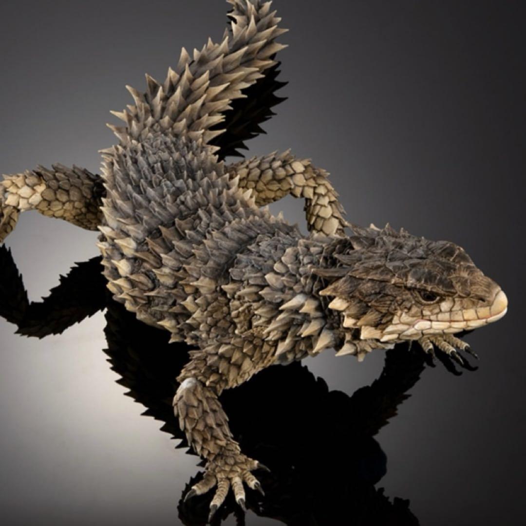 オオヨロイトカゲ いきもの大図鑑アルティメット