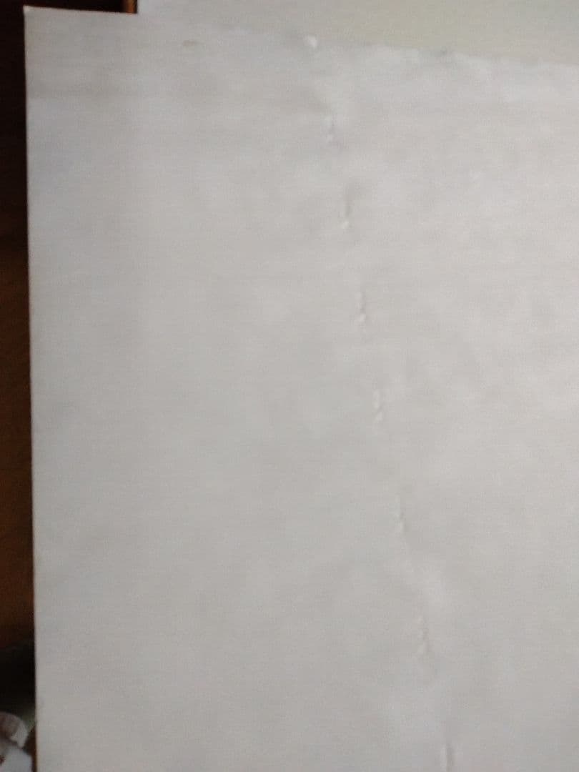 FRANK　ZAPPA　LATHER フランク・ザッパ　レザー　ポスター