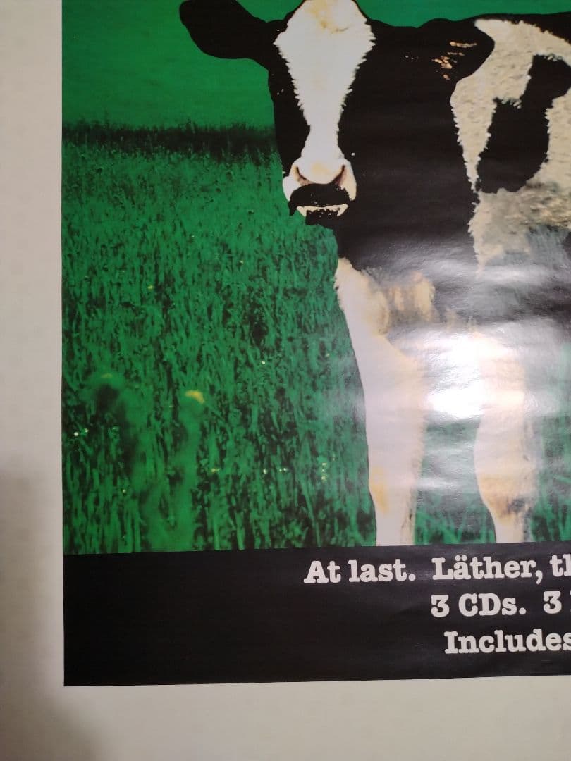 FRANK　ZAPPA　LATHER フランク・ザッパ　レザー　ポスター