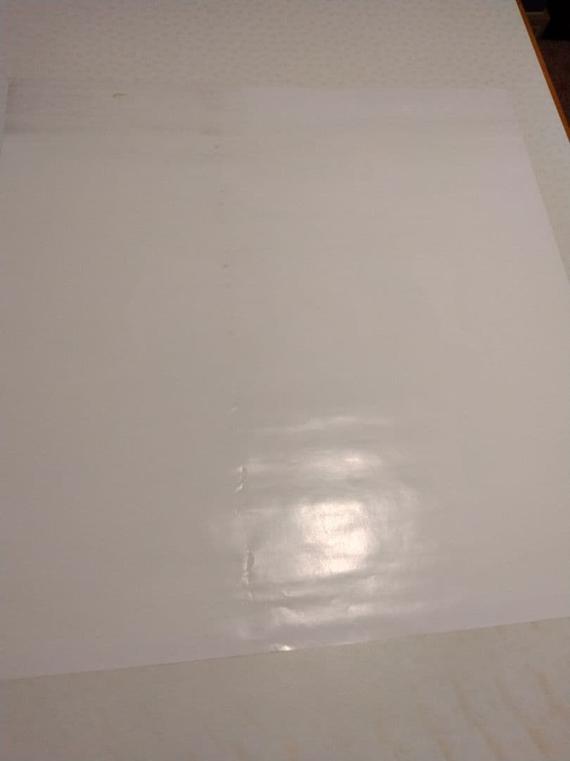 FRANK　ZAPPA　LATHER フランク・ザッパ　レザー　ポスター