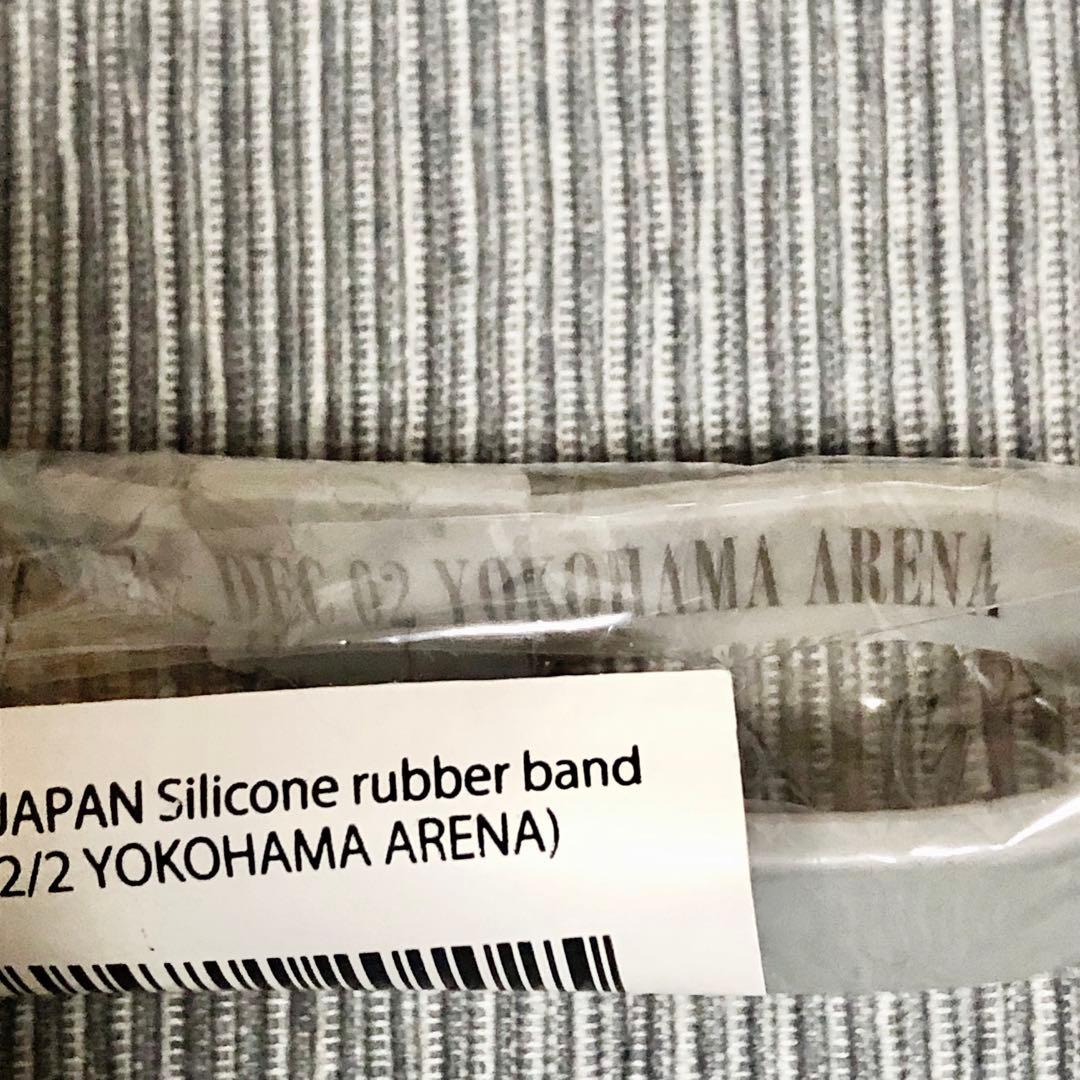 XJAPAN2015/12/2横浜アリーナVIPプラチナ+会場限定シリコンバンド