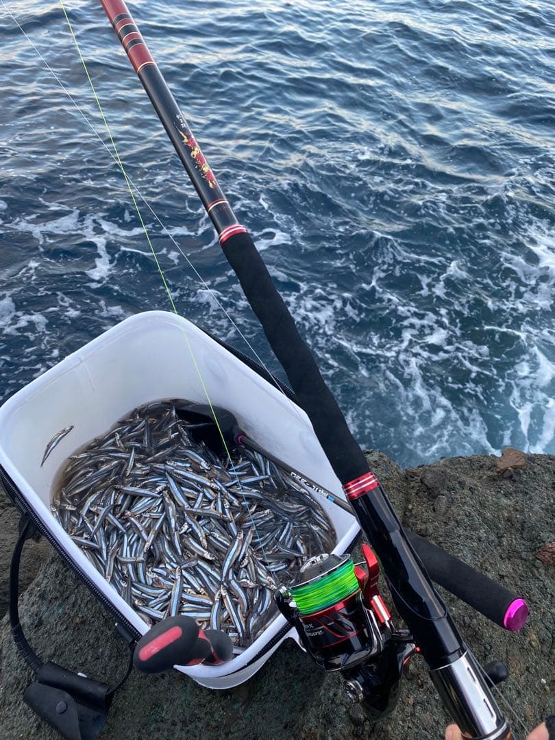 がま磯　我夢者アルティメイト　4号