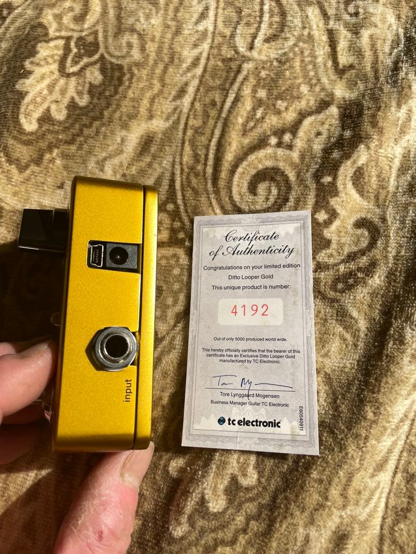 ギター TC electronic Ditto Looper.Gold