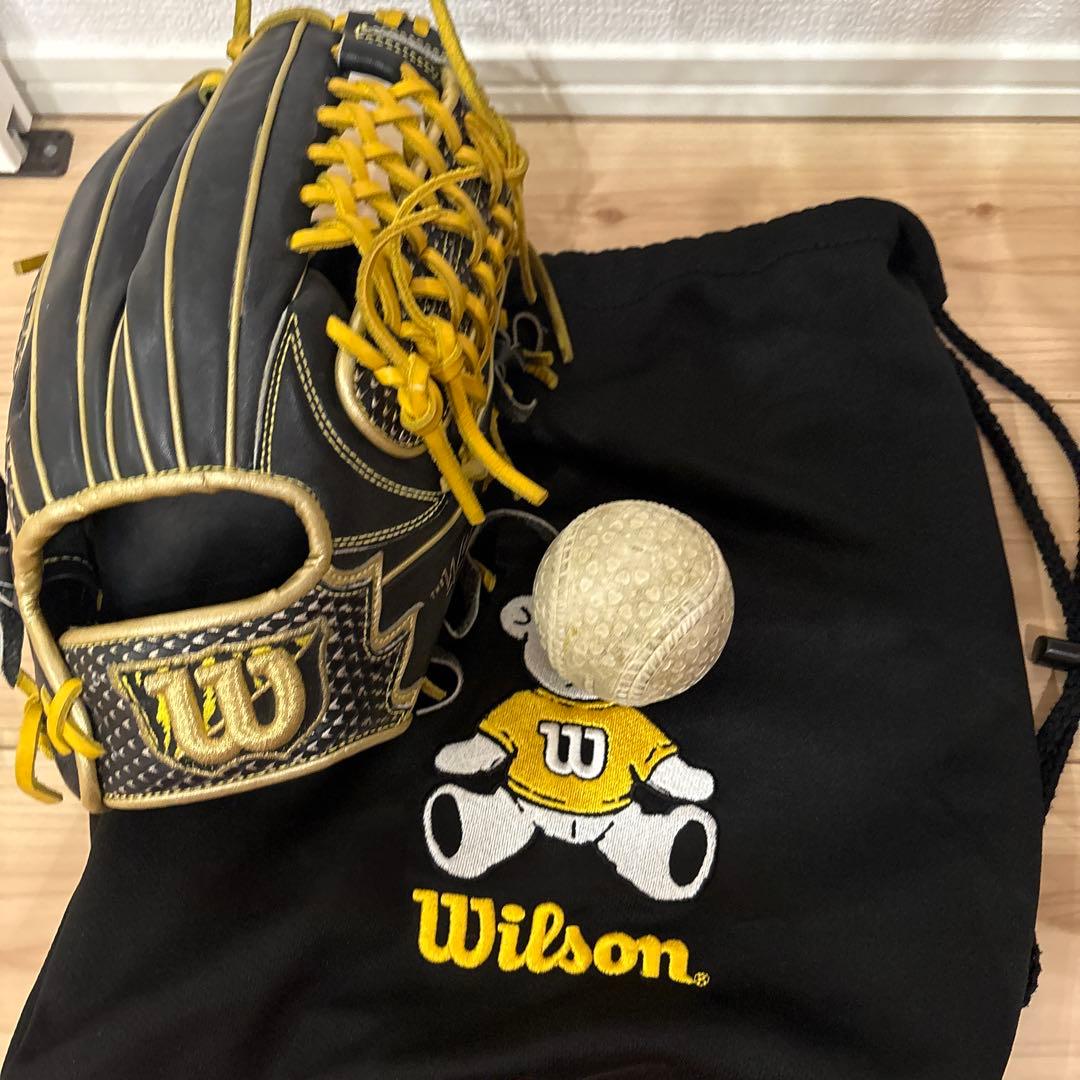ウィルソン ワナビーヒーロー D5型　オールラウンド　グローブ袋付き