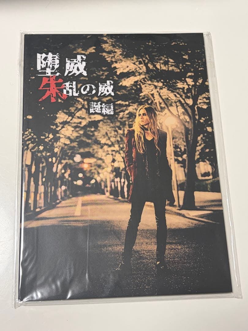 Dir en grey die 朱乱の威 パンフレット