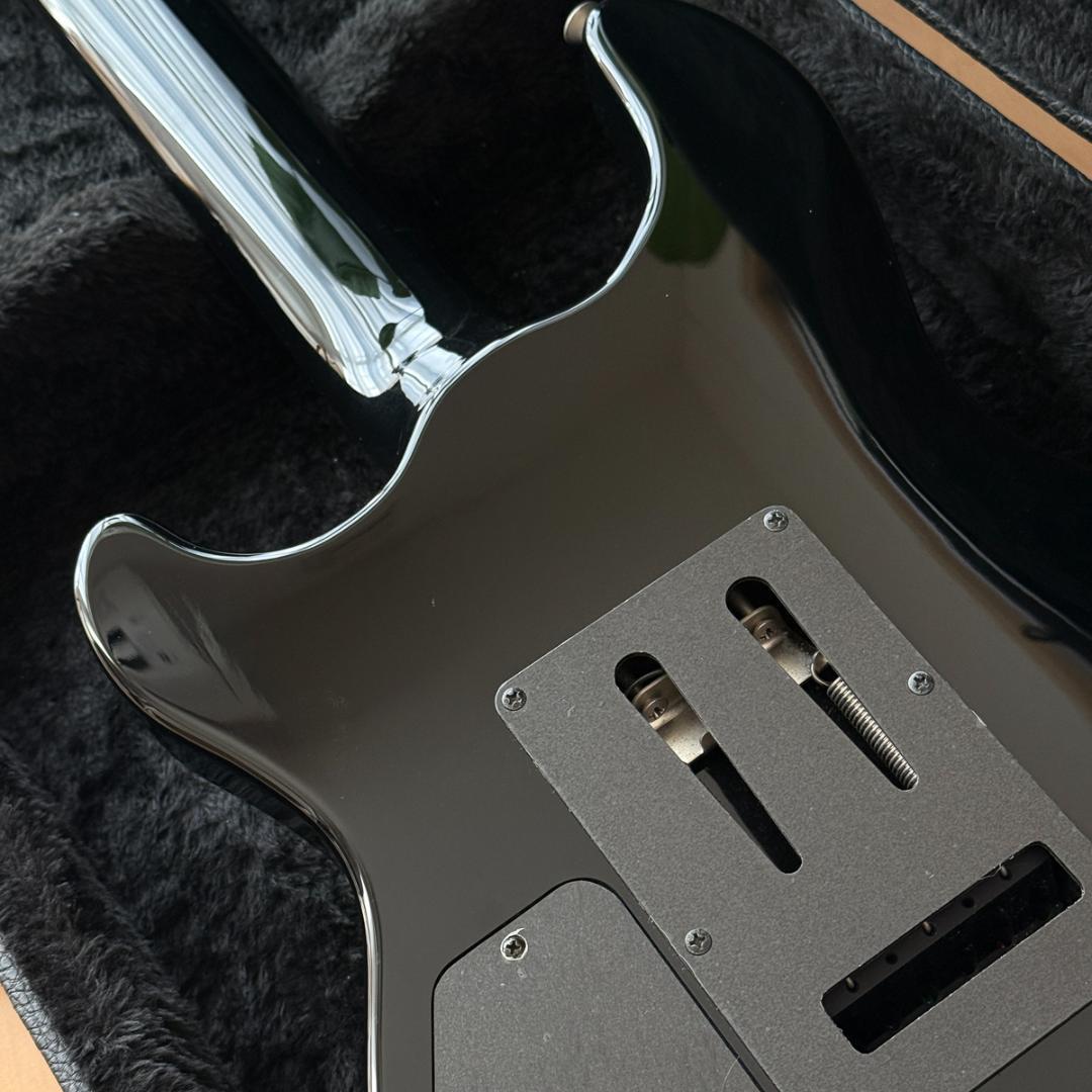 Fernandes APG-DLX JPC フルモードサスティナー 24フレット