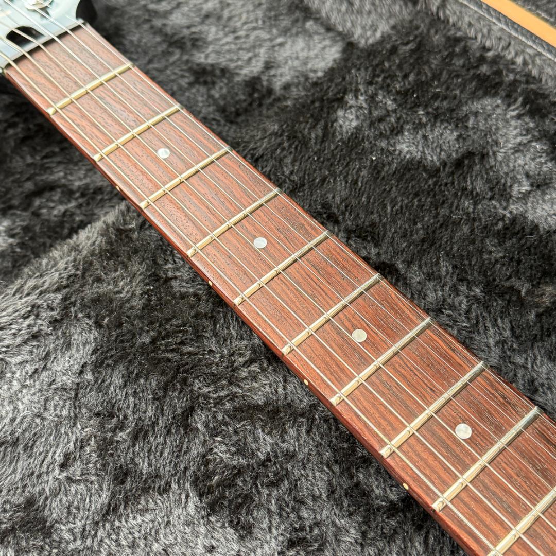 Fernandes APG-DLX JPC フルモードサスティナー 24フレット