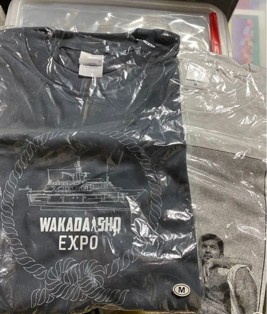 加山雄三　tシャツ ２枚セット　mサイズ