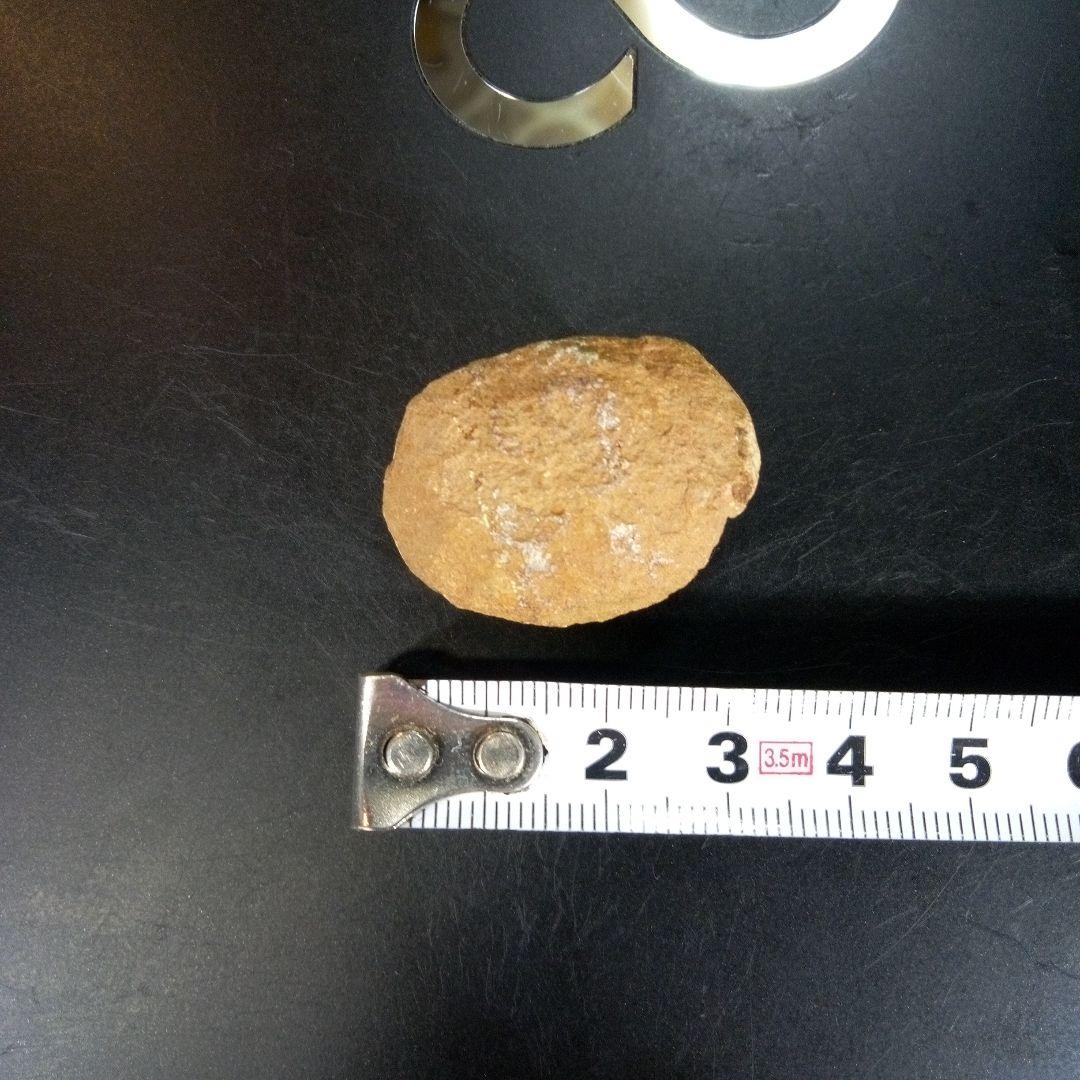 三葉虫　化石　fossil　ボリビア産　trilobite　南アメリカ化石郡⑥