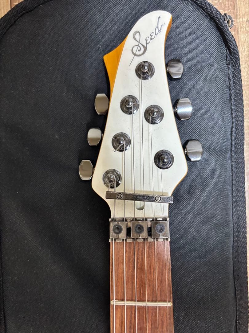 C*o様 Sago Seed Kotetsu 和楽器バンド 町屋シグネチャーモデ