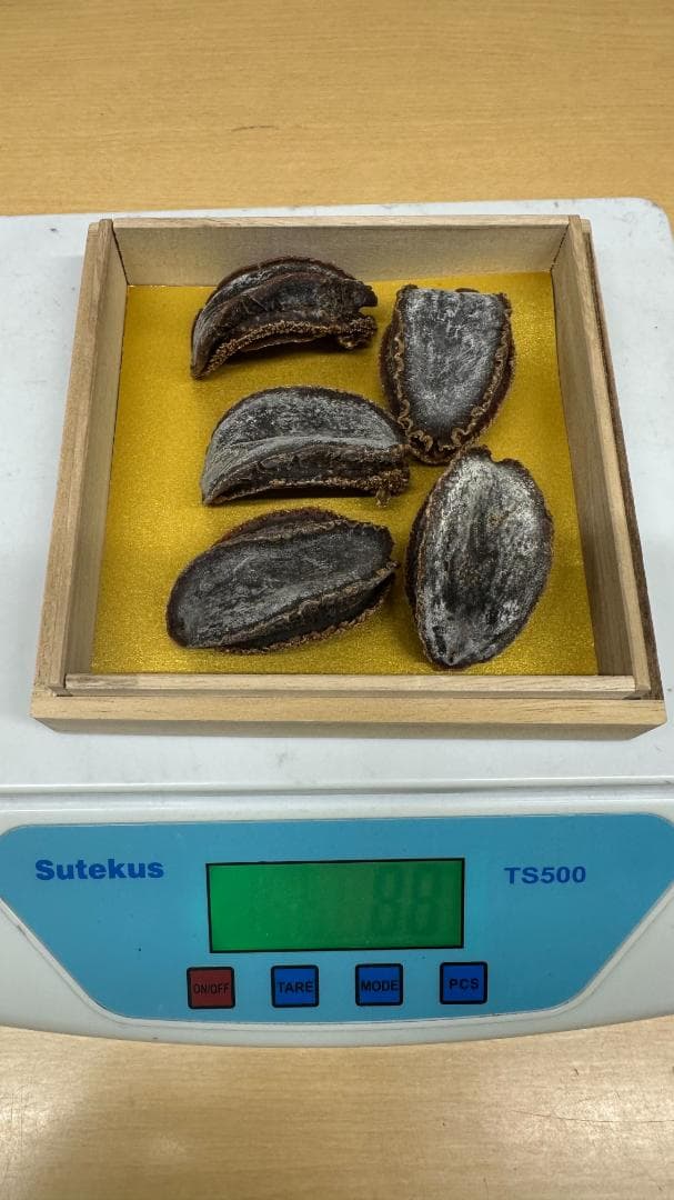 乾燥アワビ 5個