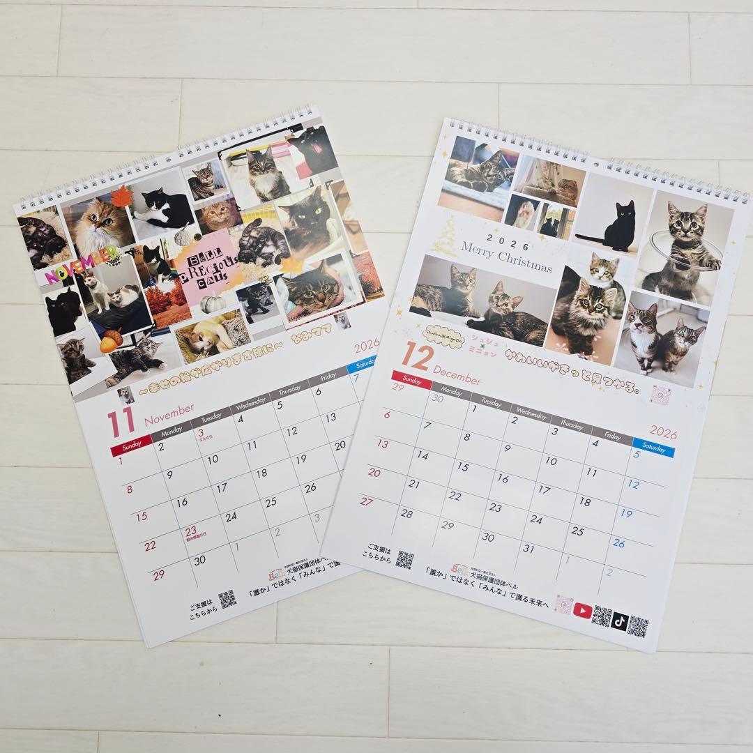 ②《猫》壁掛けチャリティーカレンダー10枚セット