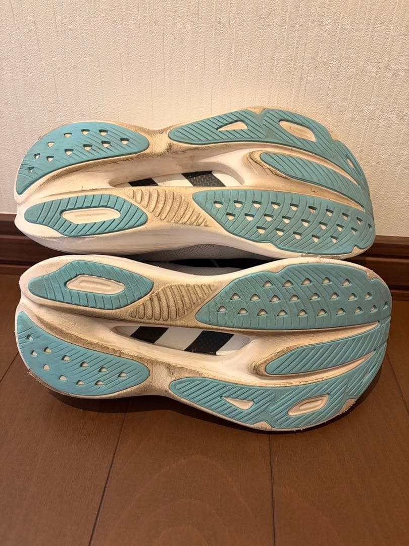 HOKA ホカ　SKYWARD X（スカイワード エックス）