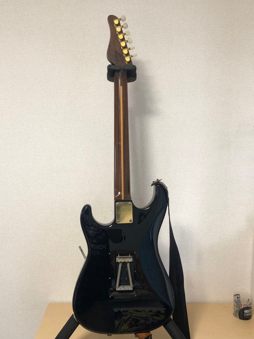 シェクター　イケベオリジナルモデル