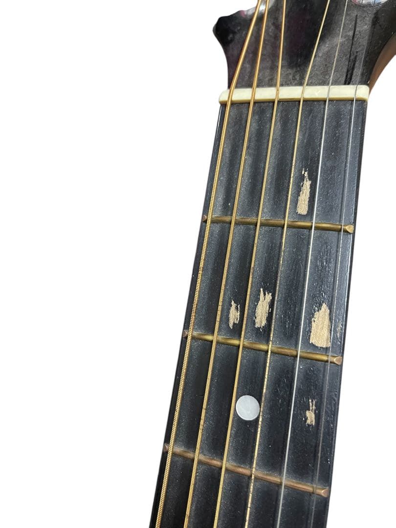 海外品 squier SA-105 ハードケース 付 スクワイヤー