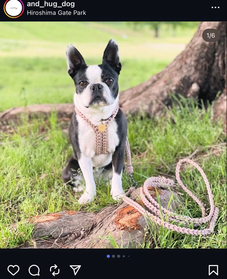 限定色ピンクベージュ✳︎ and hug.✳︎犬ハーネス＆多機能リード