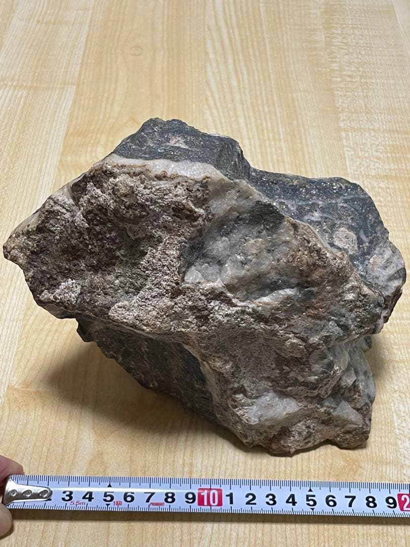 ✳️金鉱石と思われる岩石