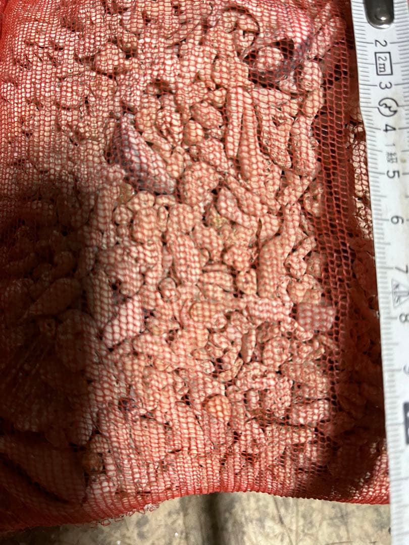 サンゴ砂、海水魚底砂、海水水槽濾過材、サンゴ米粒大、12キロサンゴ砂