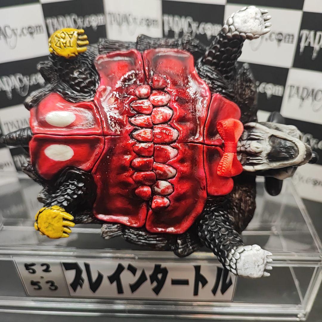 52.53ブレインタートル2体セット