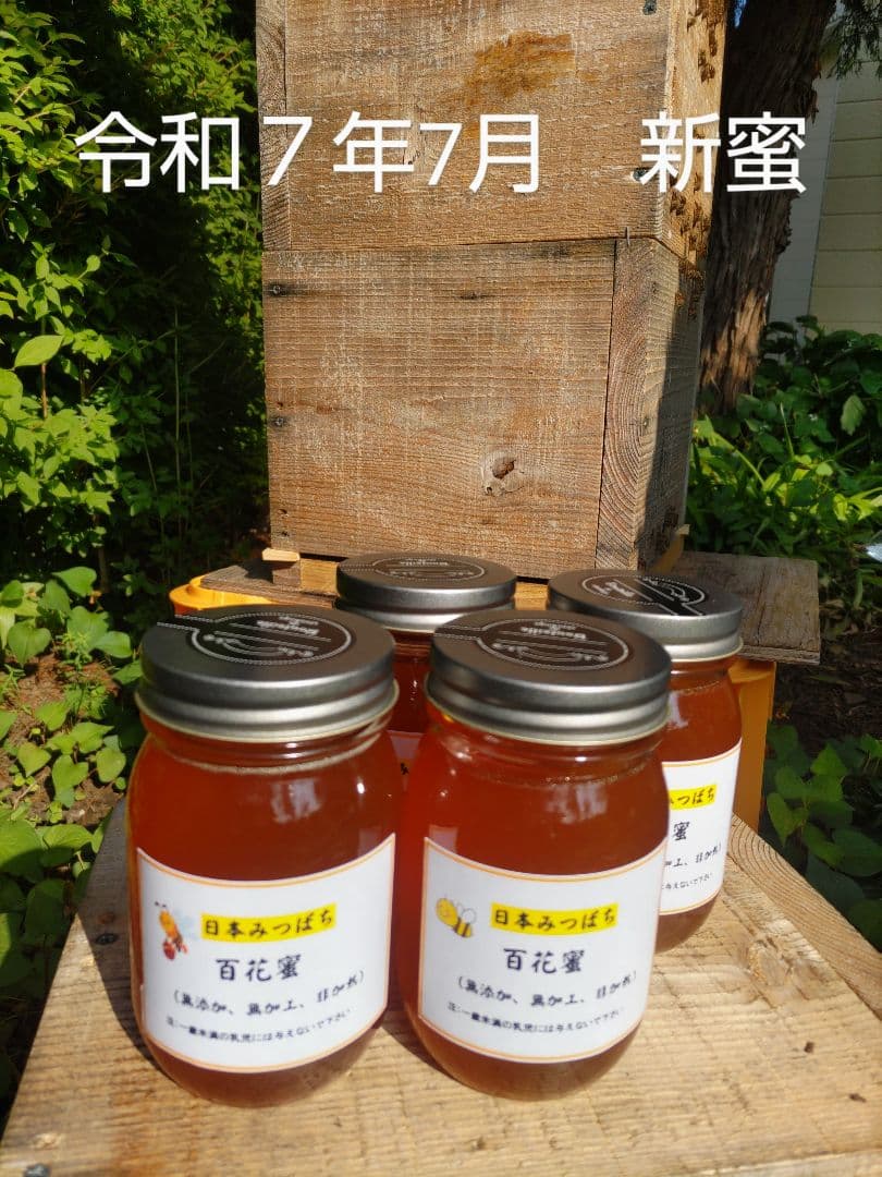 令和７年新蜜　日本みつばちの百花蜜　550ｇ✕4本（2.2㎏）