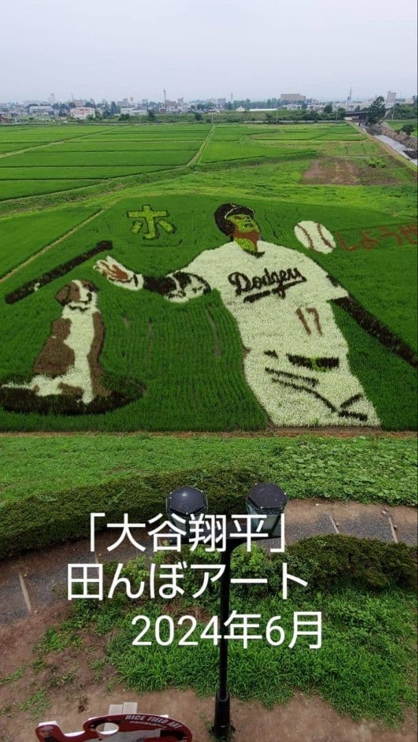 令和７年新蜜　日本みつばちの百花蜜　550ｇ✕4本（2.2㎏）