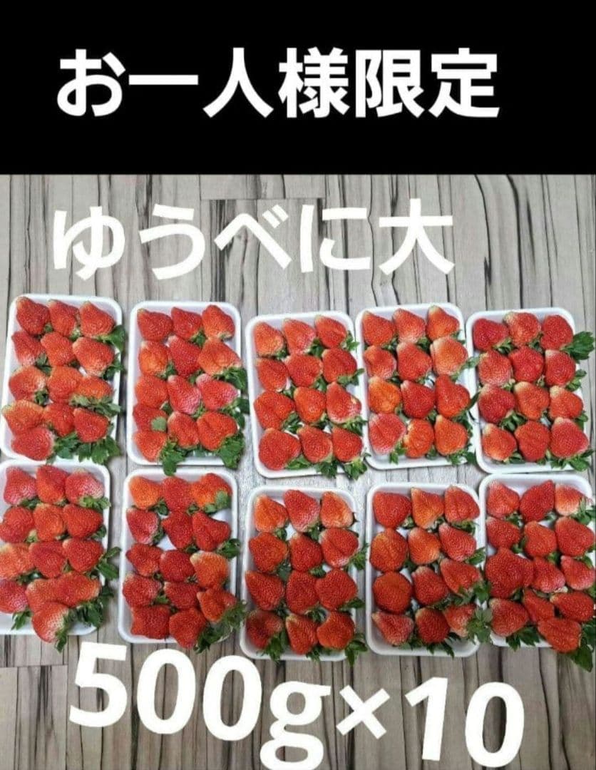 早い者勝ち❤️規格外大ゆうべに❤️500g×10パック5k14000