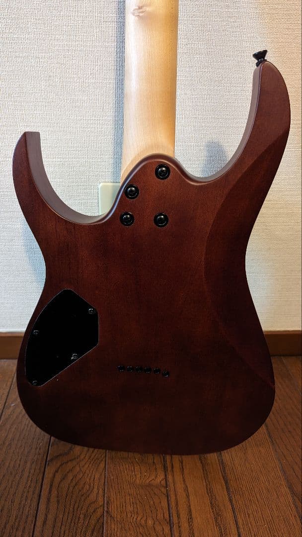 ギター Ibanez GRG121DX-WNF Walnut