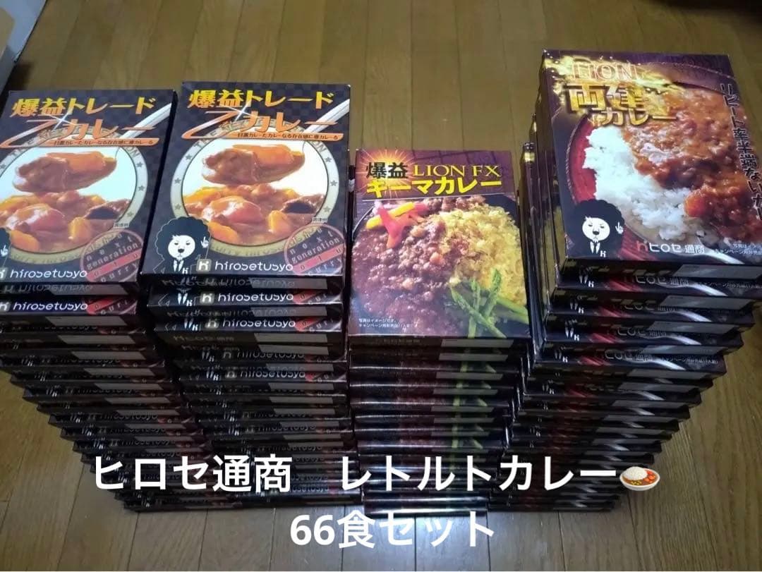 ヒロセ通商　レトルトカレーセット 66食