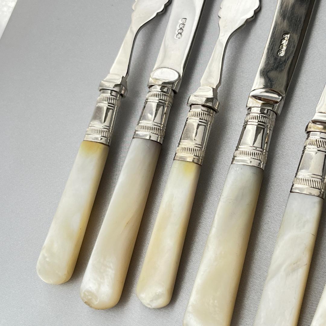 【英国】【白蝶貝】デザート / フルーツセット 12本 マザーオブパール ケース