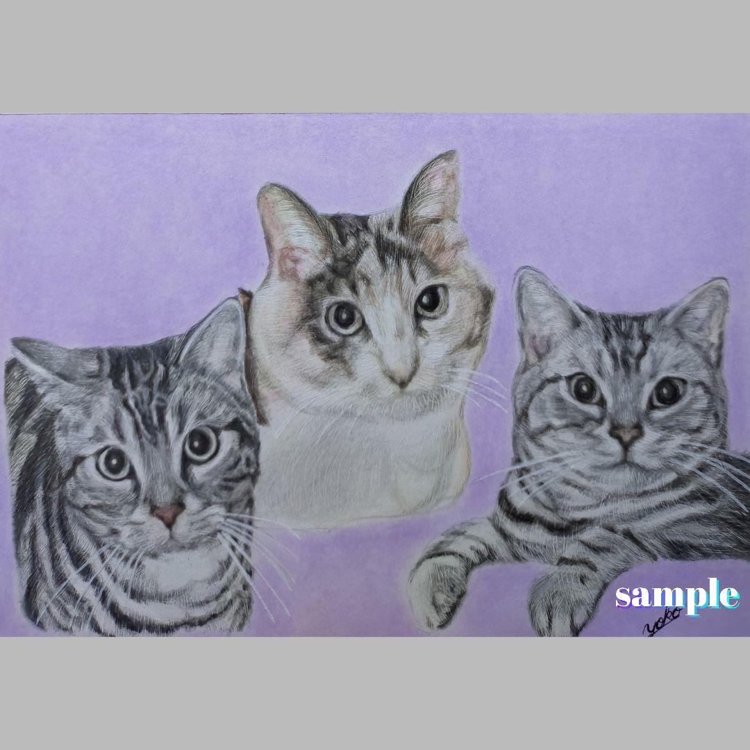 色鉛筆画✭愛猫愛犬✭ペット似顔絵　肖像画　イラスト　注文オーダー　受付ページ　1