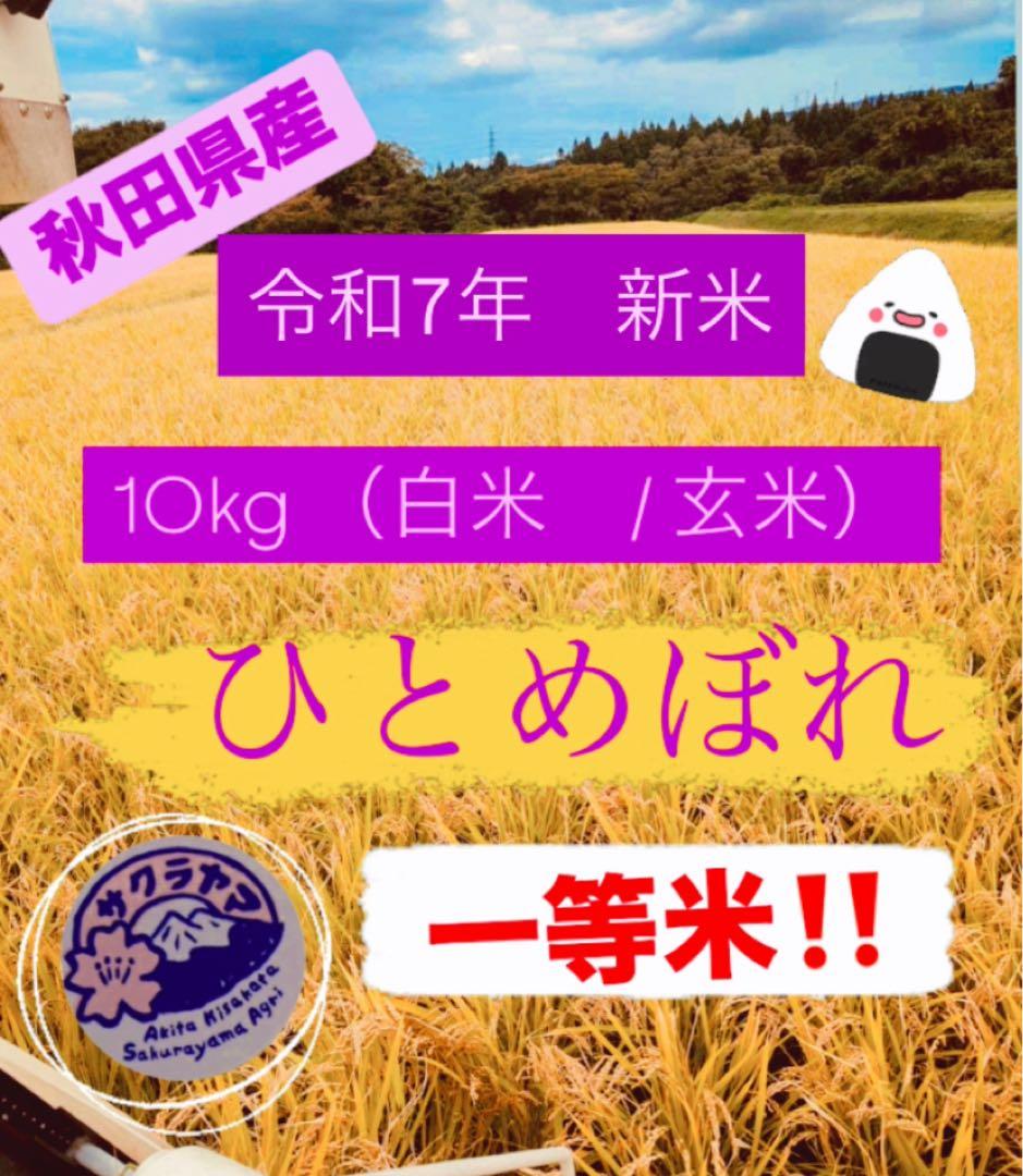 ★令和7年 ‪新米 ひとめぼれ 10kg 秋田県産 産地直送★