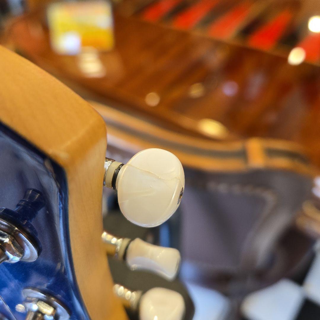 Pignose PGG-200 アンプ内蔵 ミニギター 訳あり　ピグノーズ