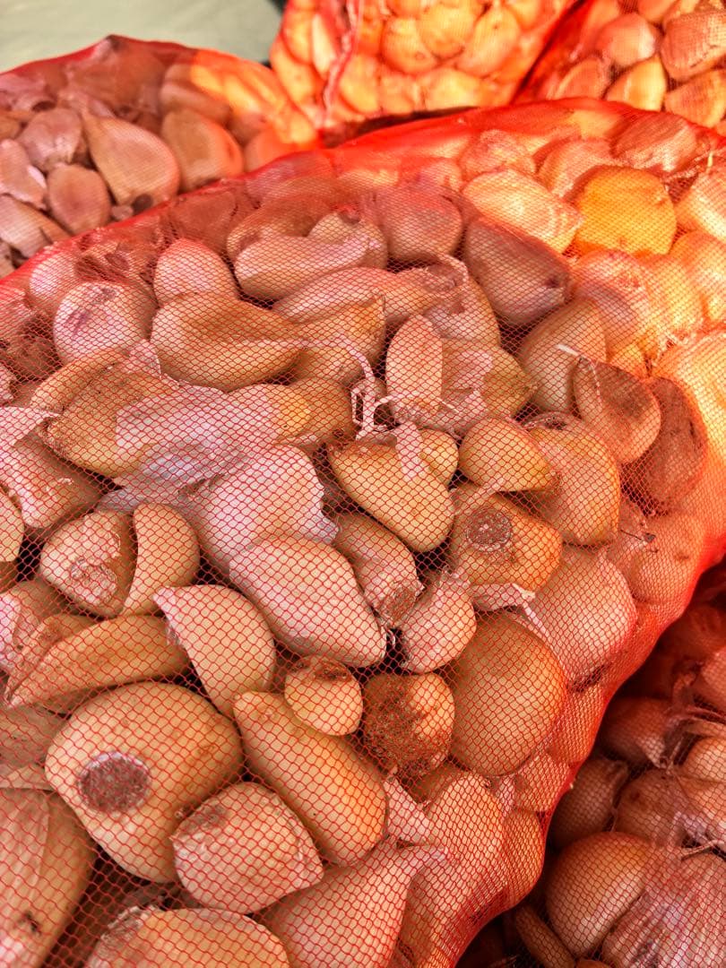 訳あり青森県バラにんにく20キロ大