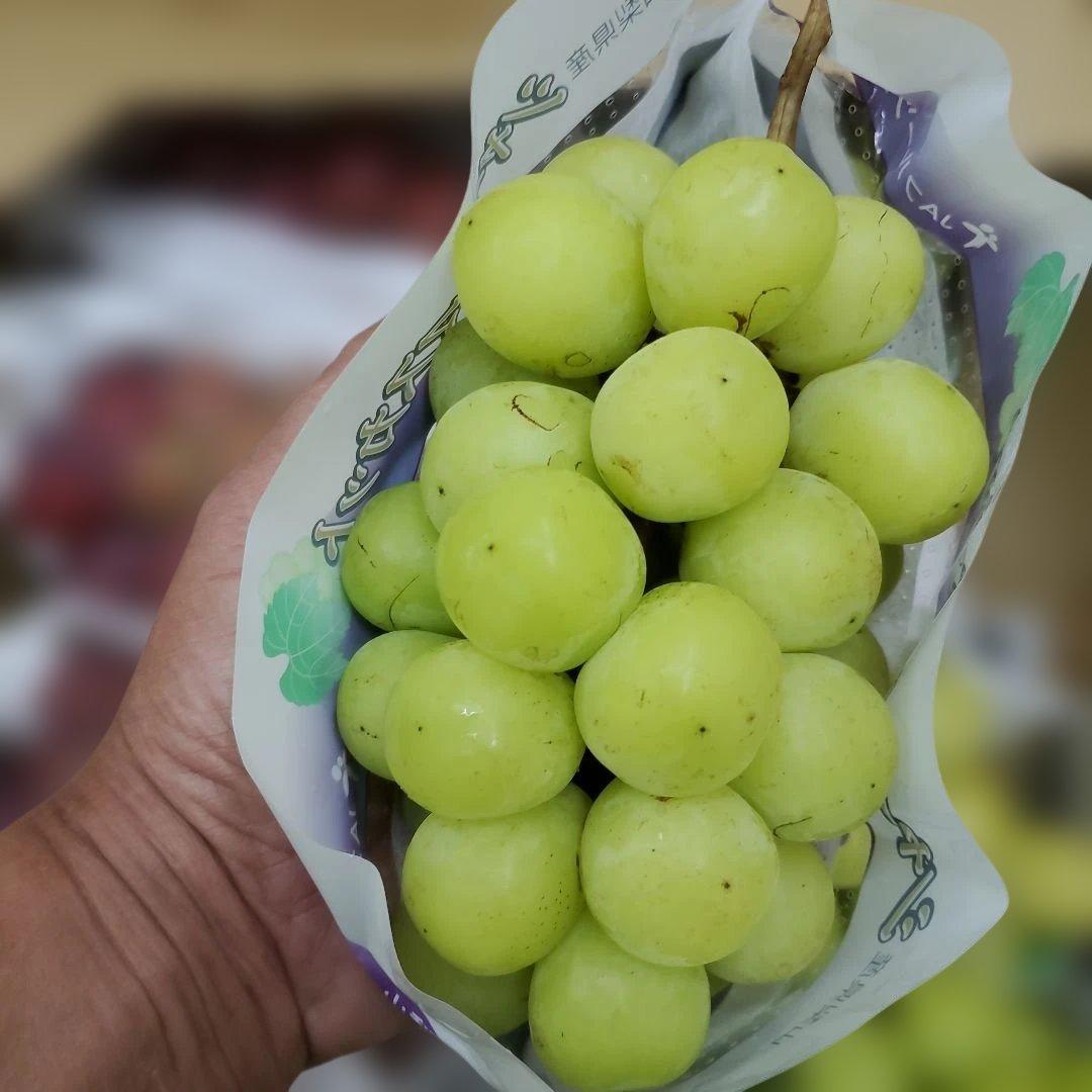 4️⃣ 山梨県産 シャインマスカット＆スカーレット １０房入り 箱込み5.4キロ