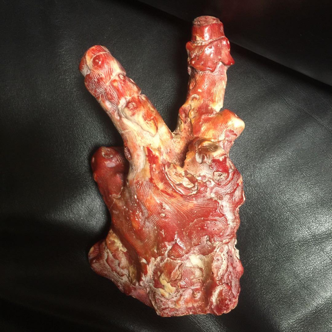 天然 紅珊瑚 504g