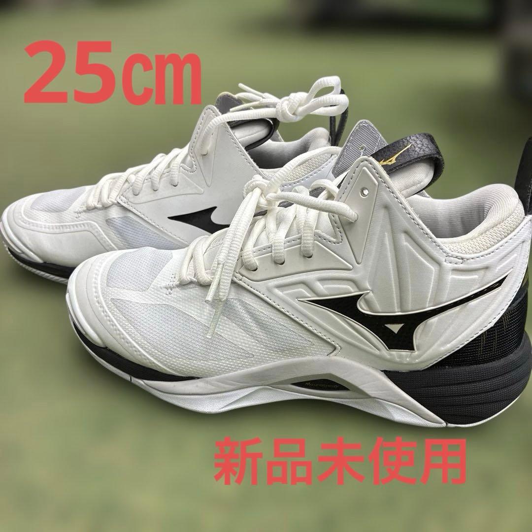 ミズノ　バレーボールシューズ ウェーブモーメンタム2MID 25㎝
