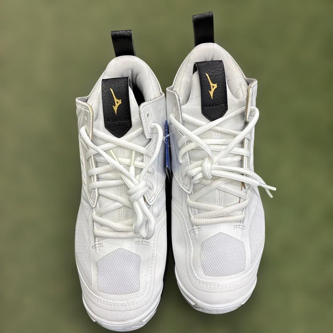 ミズノ　バレーボールシューズ ウェーブモーメンタム2MID 25㎝