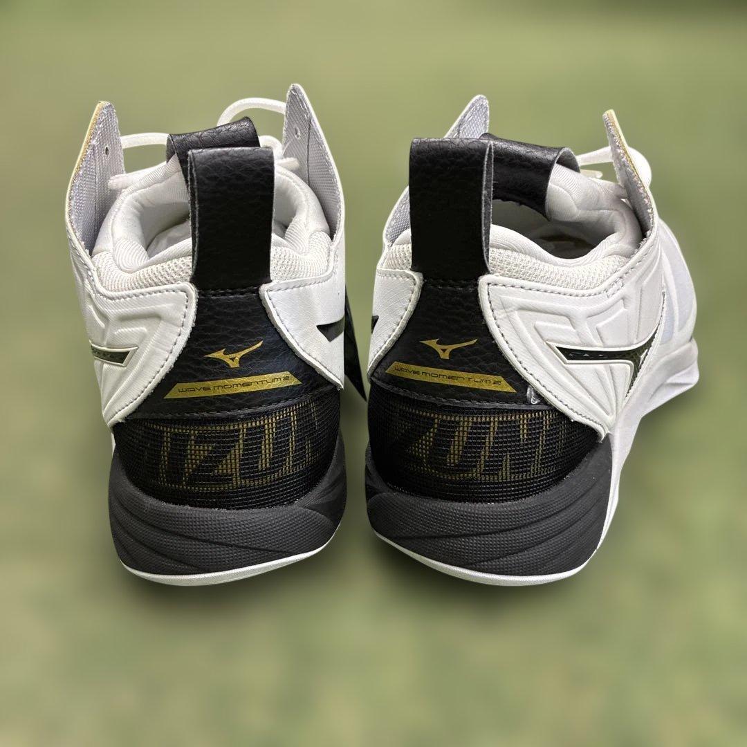 ミズノ　バレーボールシューズ ウェーブモーメンタム2MID 25㎝