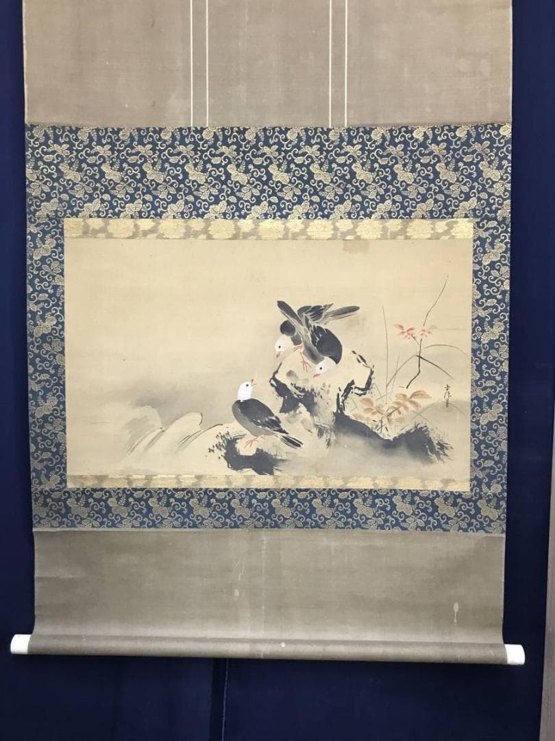 【真作】狩野古信/紅葉小禽図/花鳥図/横物/江戸中期/掛軸/名家伝来AC-409
