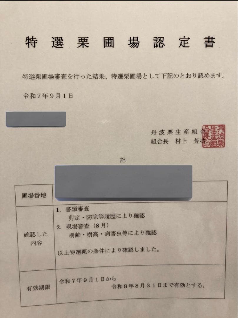 丹波栗特大サイズ　ぽろたん　3kg