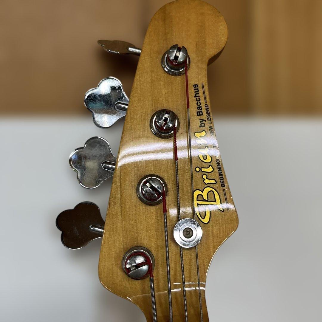 Brian by bacchus ギター ブルー