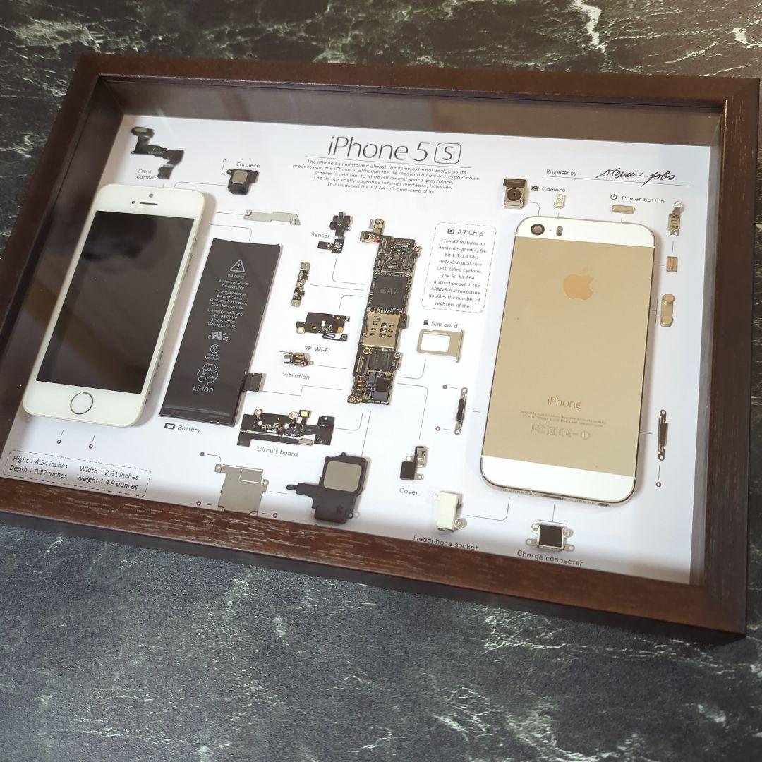 iPhone5s ゴールド 標本アート