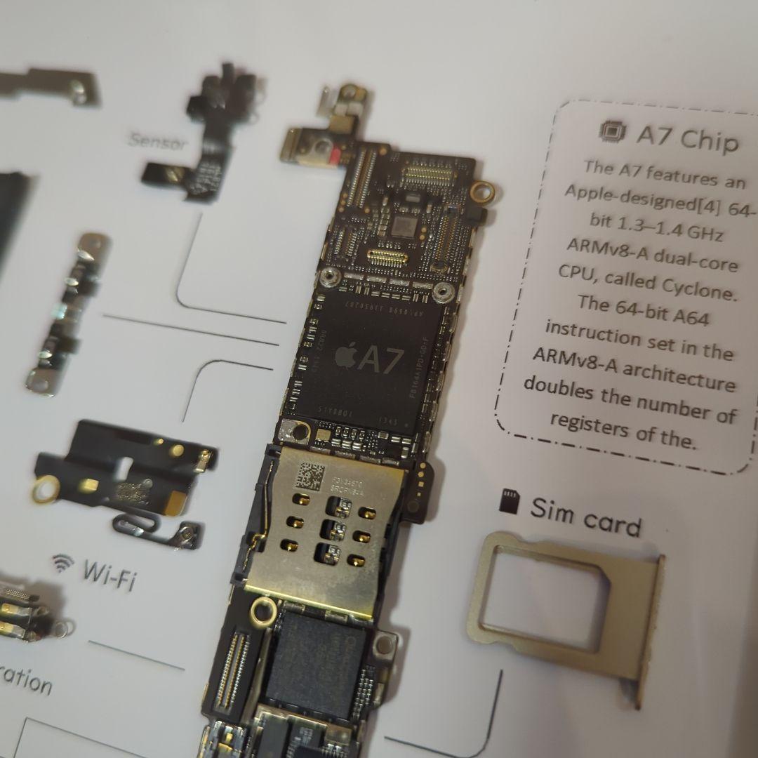 iPhone5s ゴールド 標本アート