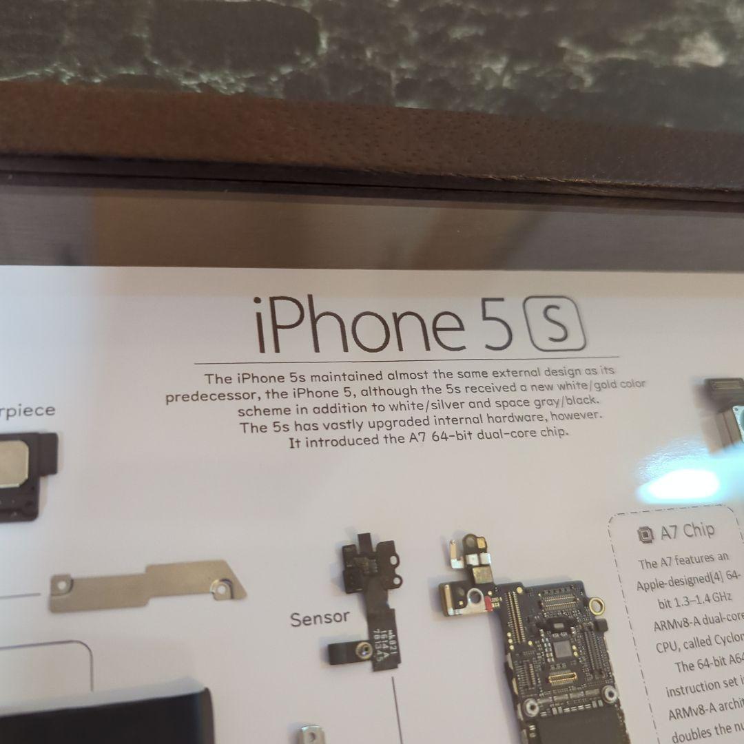 iPhone5s ゴールド 標本アート