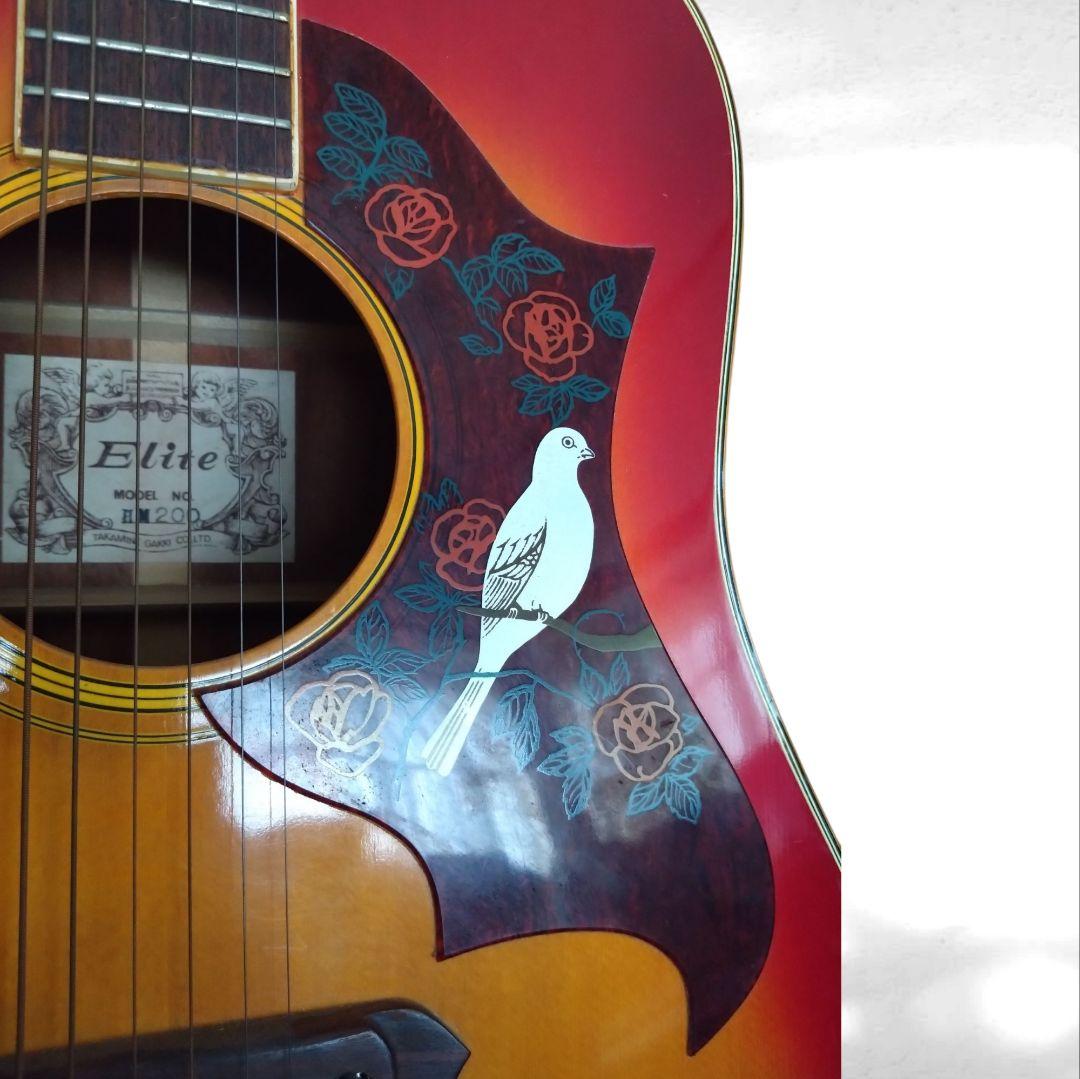 アコースティックギター　EliteTAKAMINEGAKKI HM200