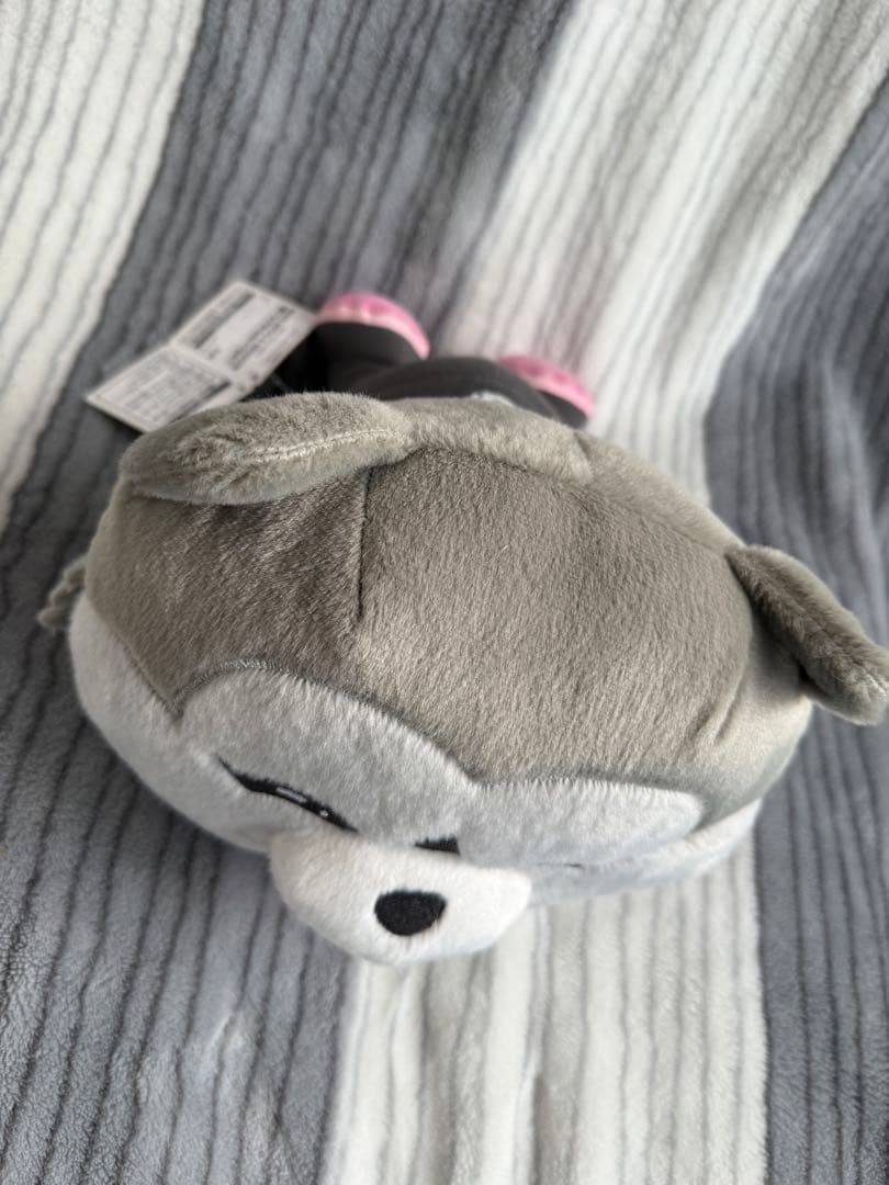 マンウィズ寝転びBIGぬいぐるみ5体セット